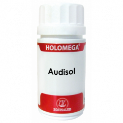 Equisalud Holomega Audisol...
