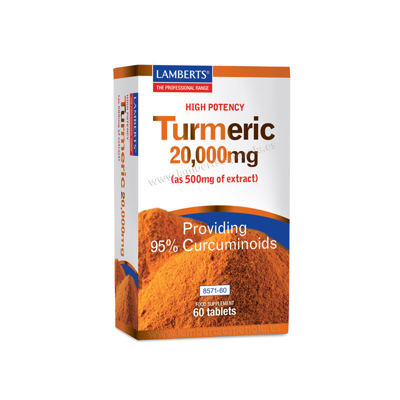 Lamberts Turmeric Curcuma 60 Tabs