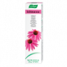 Bioforce Dentaforce Equinacea 100g
