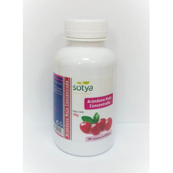 Sotya Arandano Rojo 90 Cap...