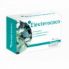 Eladiet Eleuterococo Fitotablet 60 Comp