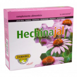 Herdibel Hechinajal 16...