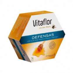 Vitaflor Jalea Real...