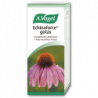 Bioforce Echinaforce 50ml