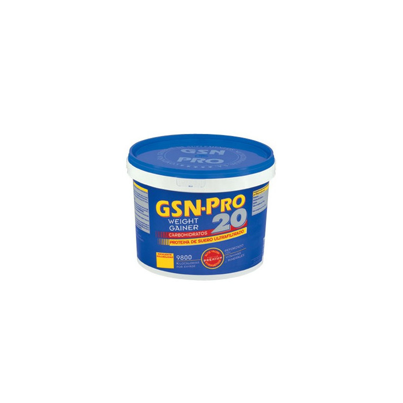 Gsn Pro 20 Chocolate 2,5 Kg