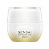 Sensai Absolute Silk Cream 40ml