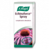 Bioforce Echinaforce Spray 30ml