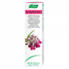 Bioforce Crema Symphytum 35g