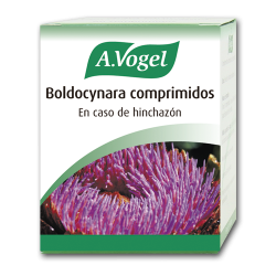Bioforce Boldocynara 60 Comp