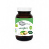 Granero S Jengibre Bio 500 Mg 90 Caps