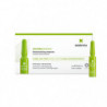 Sesderma Factor g Renew Tratamiento Rejuvenecedor 7 Ampollas