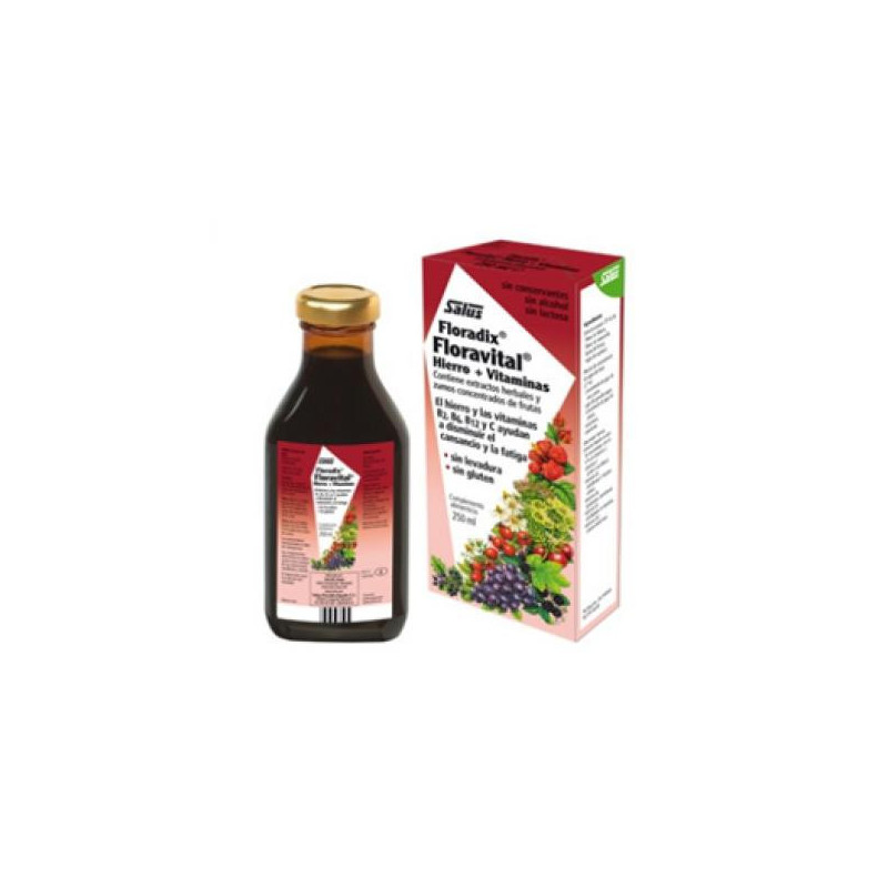 Salus Floradix Floravital 250ml